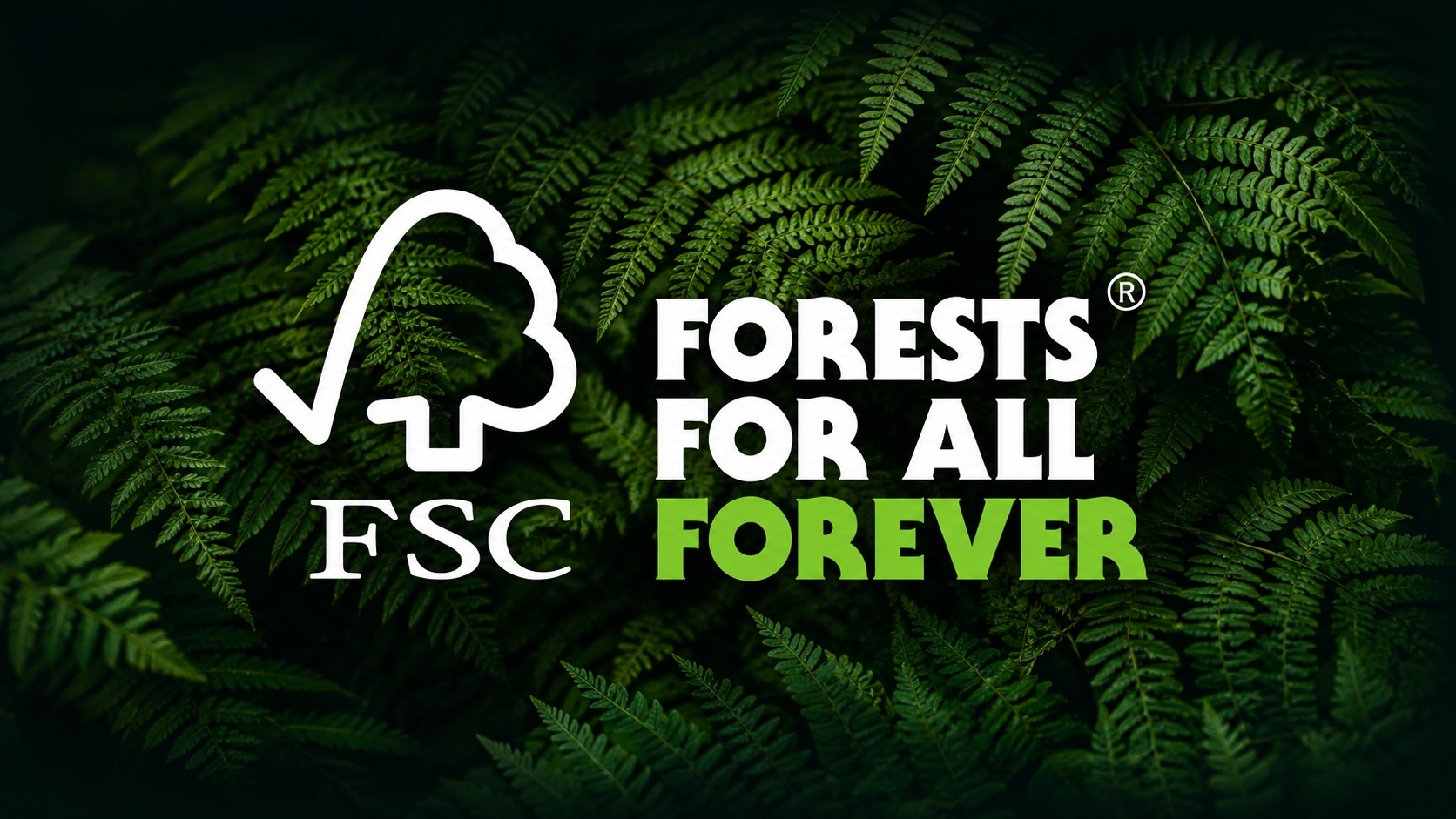 FSC na cartonagem: por que esse controle é cada vez mais importante para as fábricas?